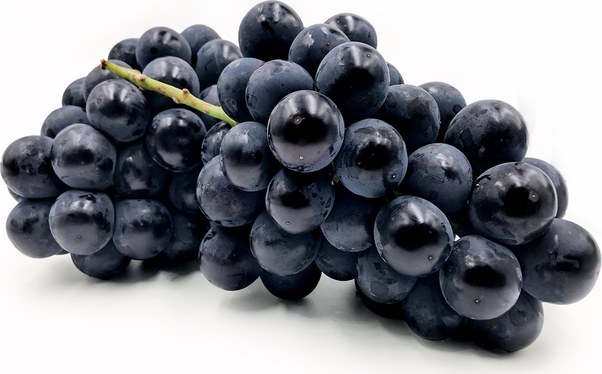 Benefits Of Grapes For Your Health