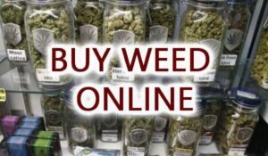 Buy Weed Online