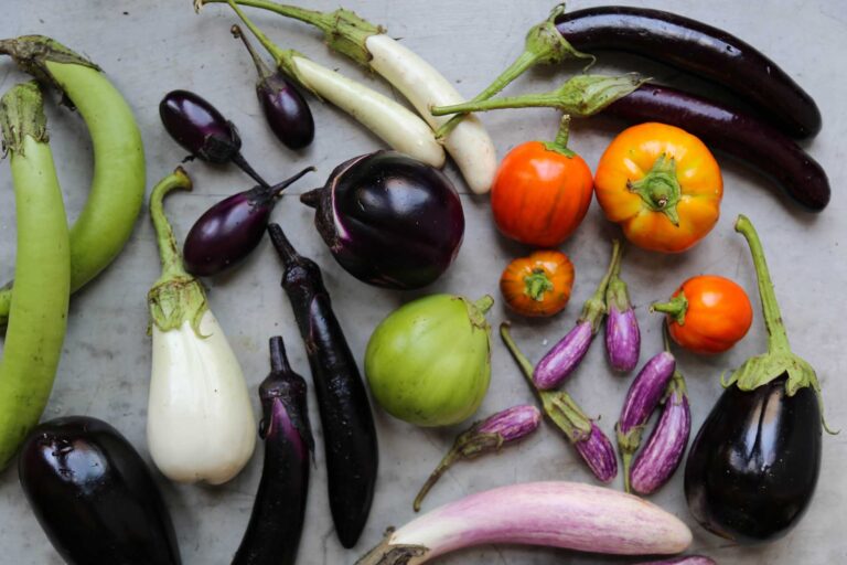 Dumbfounding Benefits of Eggplant