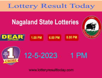Nagaland State Lottery: A Gateway to Excitement and Fortune - PEOPLE OR